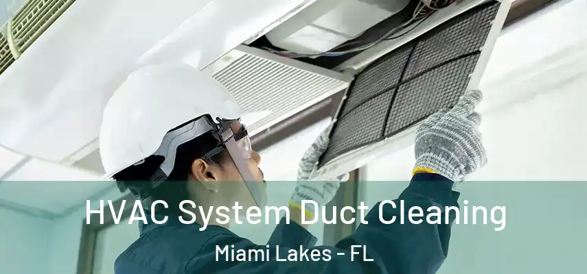 HVAC System Duct Cleaning Miami Lakes - FL